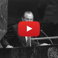 Chaim Herzog UN