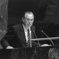 Chaim Herzog UN