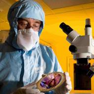 Israel Micro and Nanotechnology