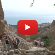 Ein Gedi Nature Reserve