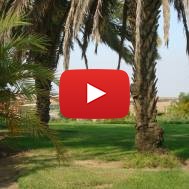 Near Gaza border