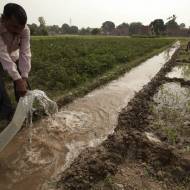 Israel India Farmers