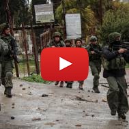 IDF