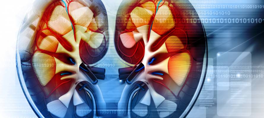 kidney cancer