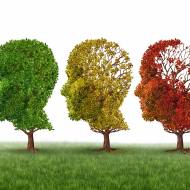 Alzheimer's