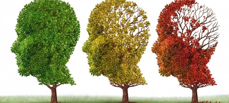 Alzheimer's