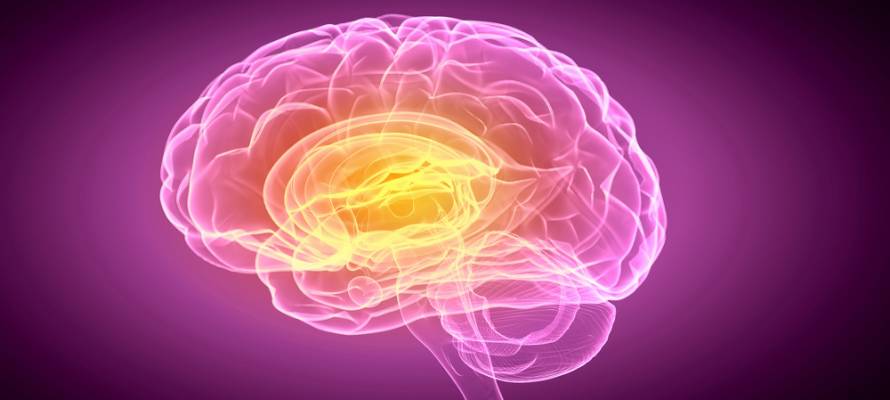 Memory neurons