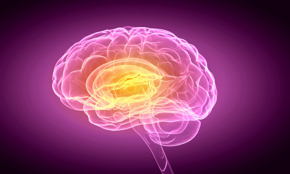 Memory neurons