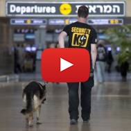 Ben Gurion Airport security