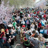 Joy of Purim