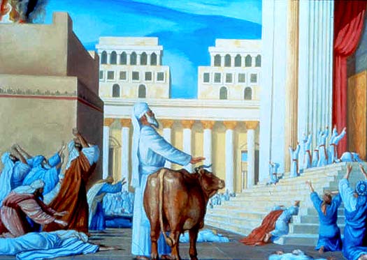 Sin offering