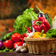 Israel Food Preservation