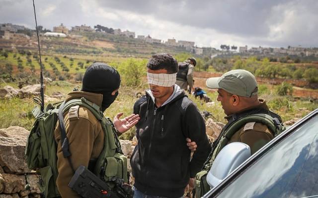 IDF arrest