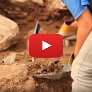 King Solomon's Wall excavated