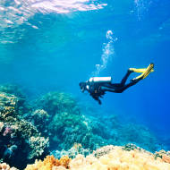 Israeli innovation, diving