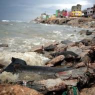 Gaza sewage sea