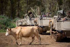 Golan cowboys
