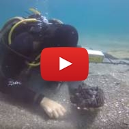 Incredible sunken treasure trove found on Israel's seabed