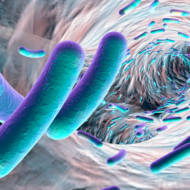 antibiotic resistance