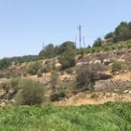 Biyar Aqueduct