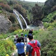 Nahal Ilyon Nature Reserve Metulla