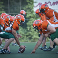 Israeli Football League