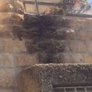 Palestinian terror in Armon Hanatziv, Jerusalem