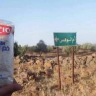 Israeli Food Syria