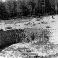 Ponar Forest Holocaust
