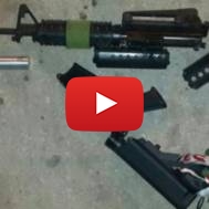 gun trafficking