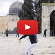 Palestinian riot Temple mount
