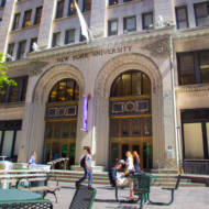 New York University
