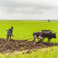 Israel Ethiopia