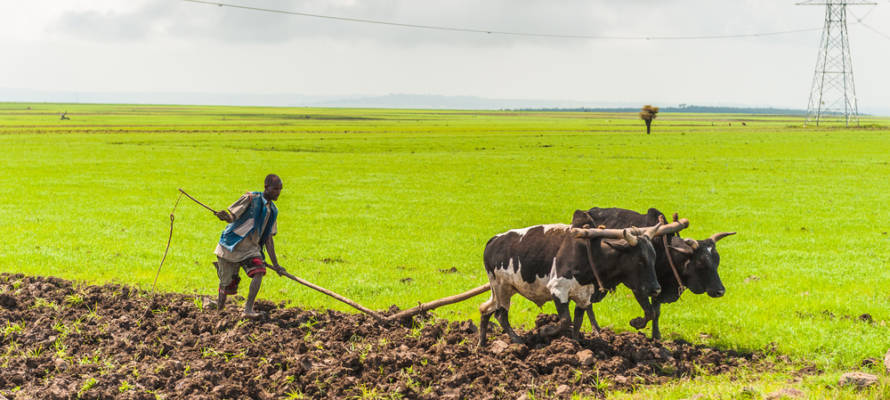 Israel Ethiopia