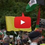 Hezbollah