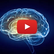 Brain research