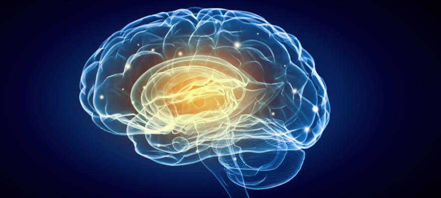 Brain research