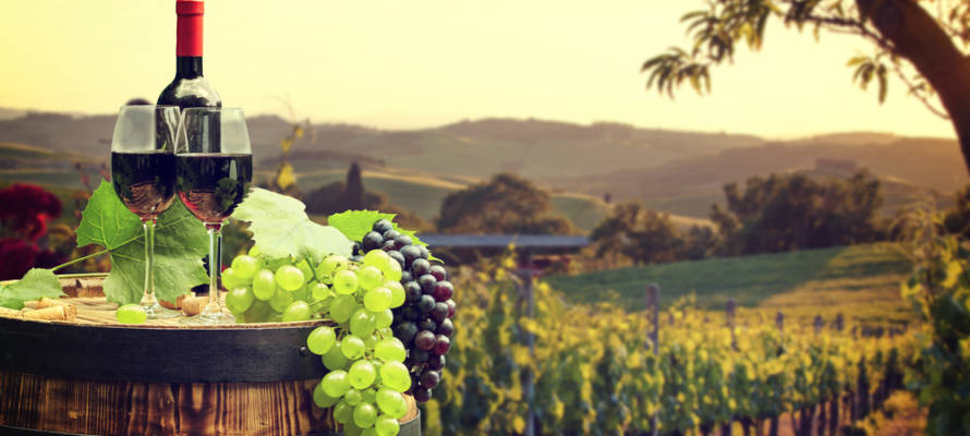 Israeli wine