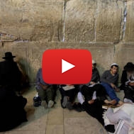 Tisha b'Av