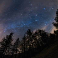 searching for a way out of the darkness