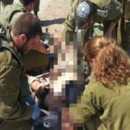 IDF treats wounded Syrians