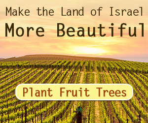 Plant Fruit Trees in Israel