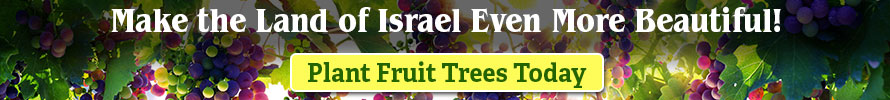 Plant Fruit Trees