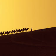 Silk road
