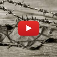 Holocaust