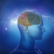 brain power