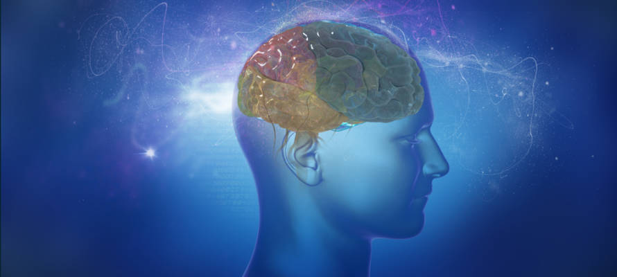 brain power