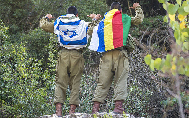 Druze IDF