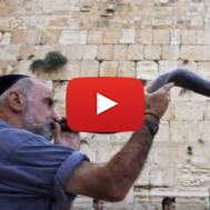 blowing-shofar-at-kotel