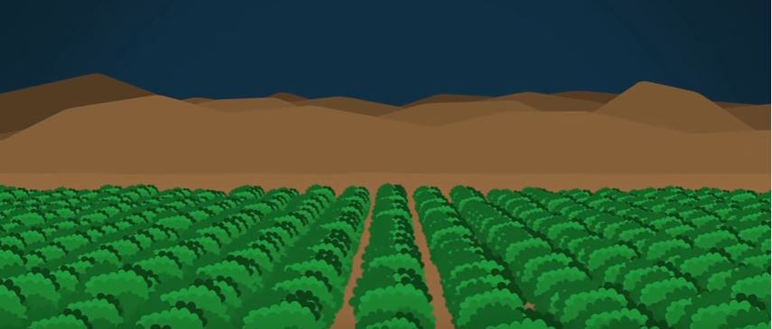 Making the desert bloom